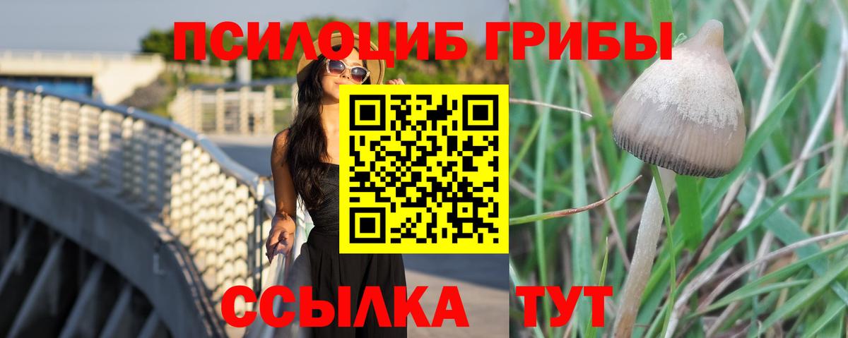 Галлюциногенные грибы Magic Shrooms Великий Новгород