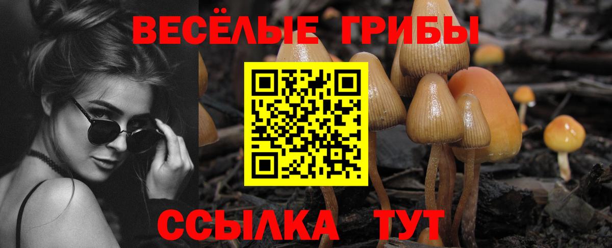 Великий Новгород  Галлюциногенные грибы ЛСД  Галлюциногенные грибы Magic Shrooms  Вход с VPN 